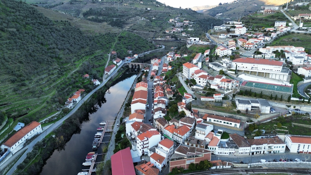 Terraced vineyards of the Douro Valley cascading toward the river under warm Portuguese sunlight